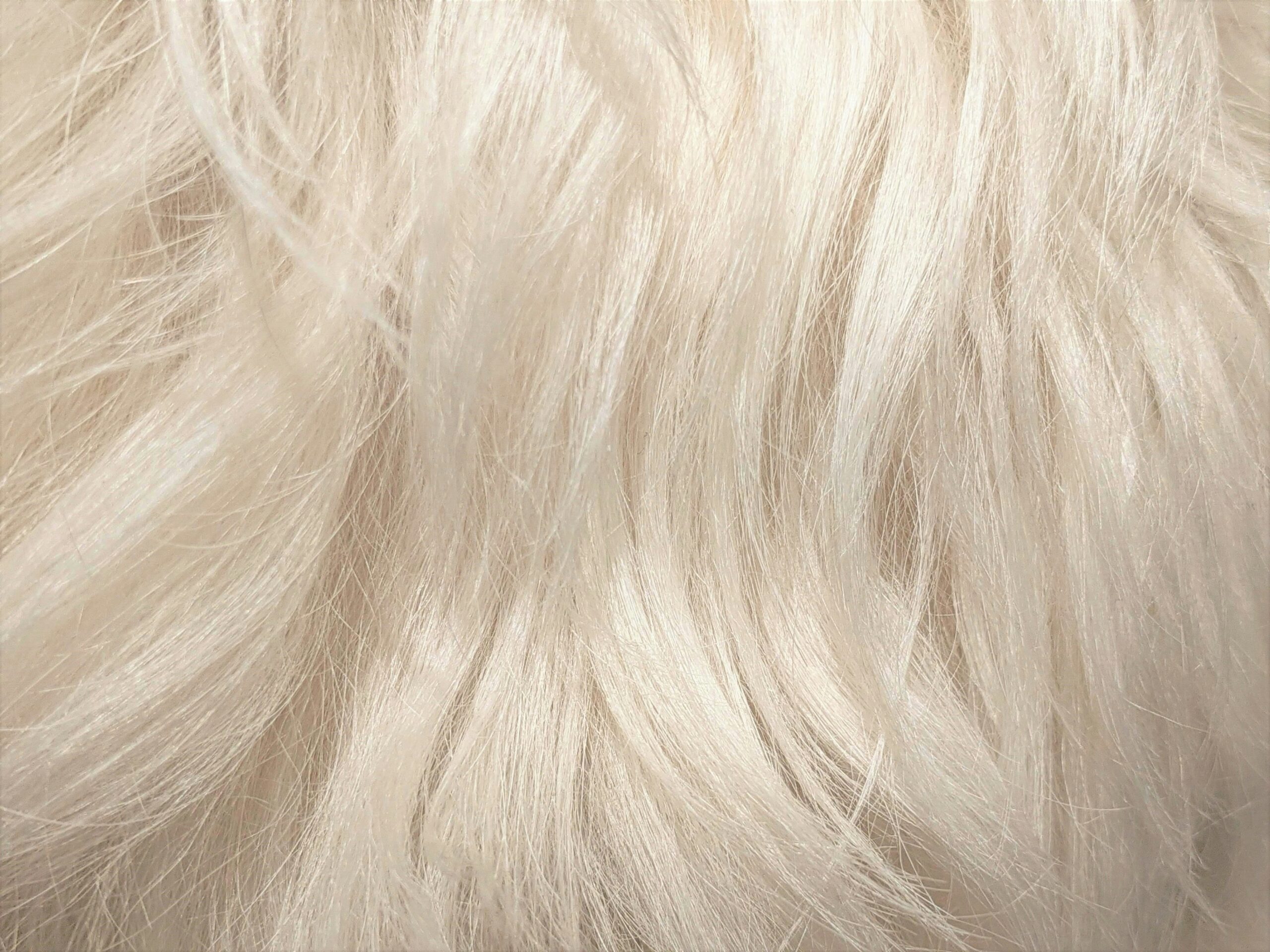 comment cacher ses cheveux blancs